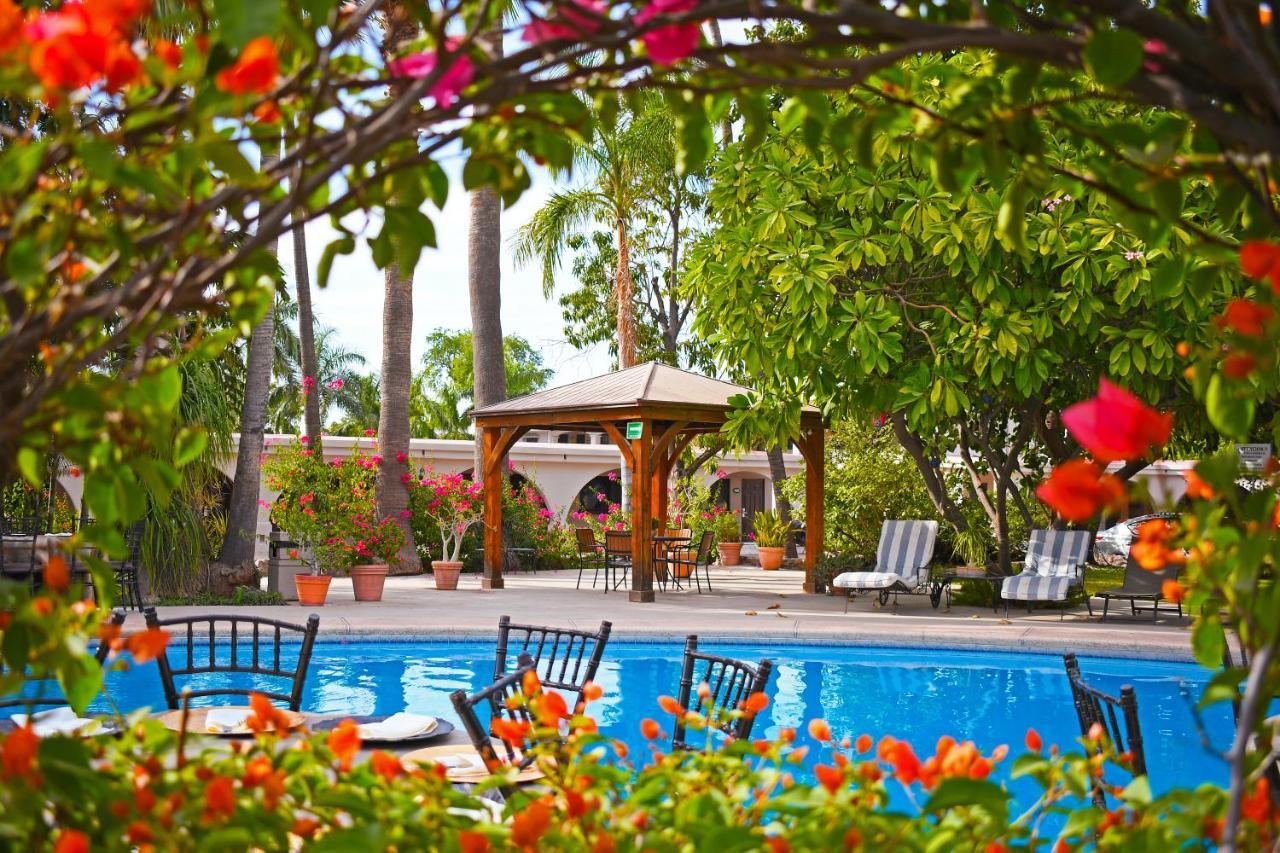 Hotel Del Rio Navojoa Exterior foto
